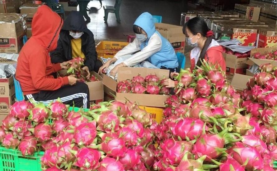 China-ASEAN trade grows robustly despite COVID-19 pandemic