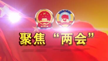 政府工作报告谈侨务政策 专家：凝聚侨力 共谱新篇