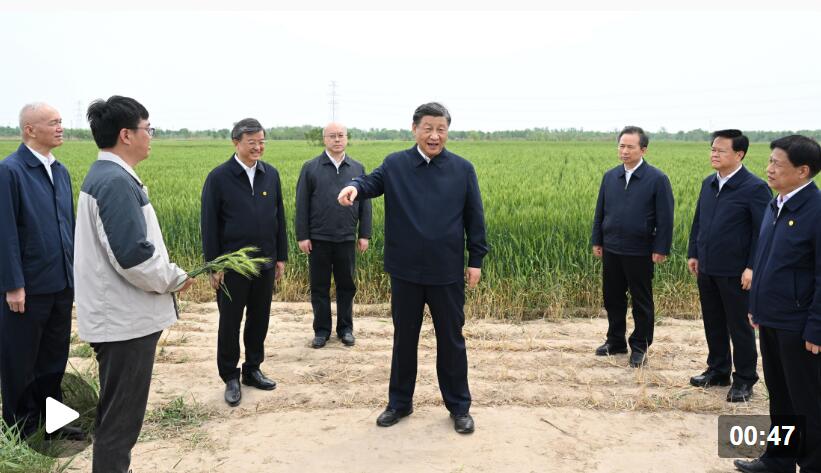 独家视频丨习近平在沧州市考察调研