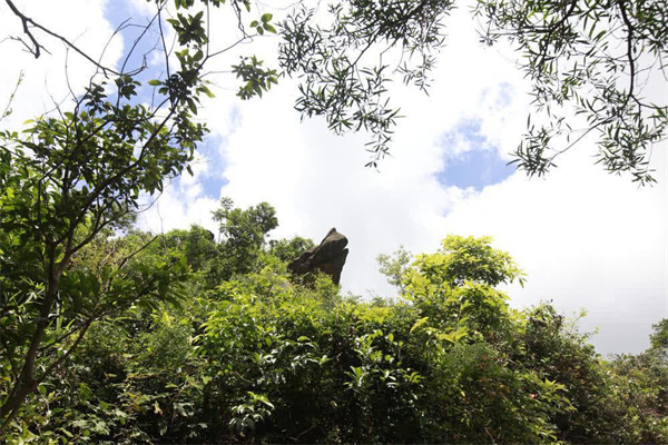 UP在灣區·大美嶺南 | 江門鶴山彩虹古道：坐石為君 對景成詩