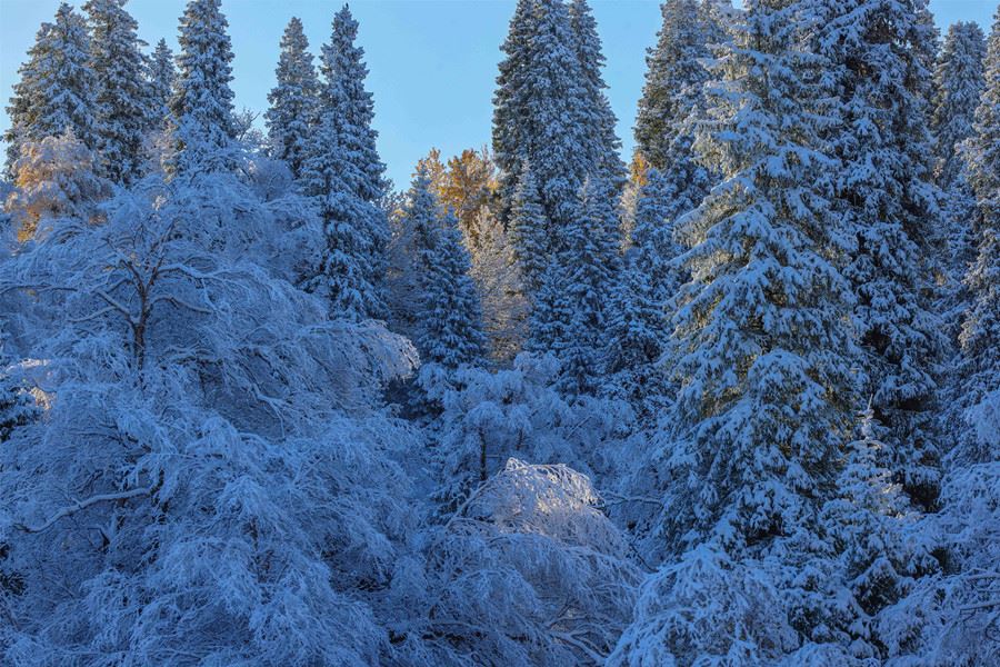 童话世界·那拉提秋雪