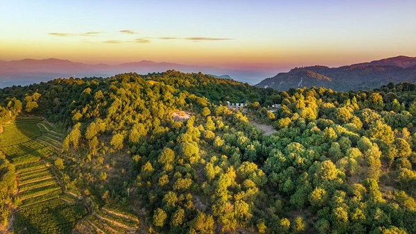 走进福鼎，共同探索茶旅融合新模式