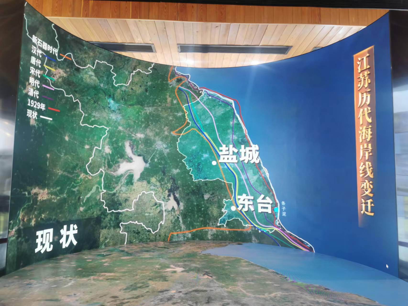 “2024华文媒体看江苏”聚焦盐城国家级珍禽自然保护区