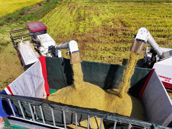 China's grain storage capacity exceeds 700 mln metric tons by end of 2023