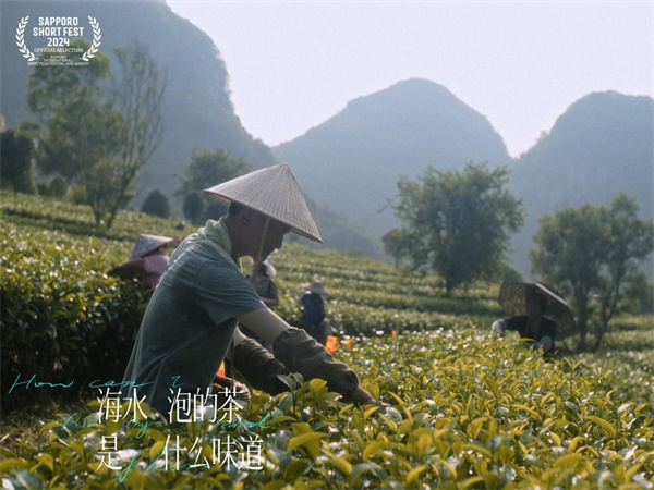 【大美广东】Maritime Guangdong Program short film 