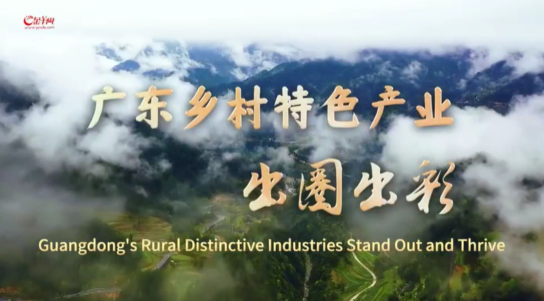 【大美广东】Guangdong's Rural Distinctive Industries Stand Out and Thrive 广东乡村特色产业出圈出彩