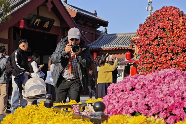 海外华媒河南行：秋霜造就菊城花，“汴”地黄花又逢君 