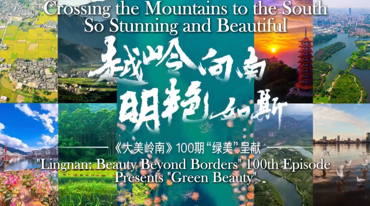 【大美广东】Crossing the Mountains to the South, So Stunning and Beautiful 越岭向南 明艳如斯