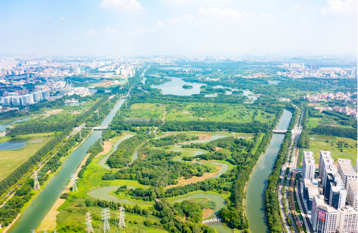 【大美广东】From wasteland to ecological oasis: The green transformation journey of Dongguan National Urban Wetland Park  从荒地到生态绿洲：东莞国家城市湿地公园绿美蜕变之旅