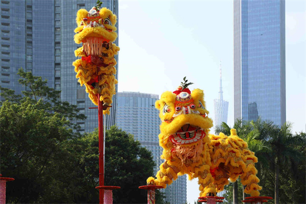 【大美广东】The lion dance competition was held in Zhujiang Park  广州珠江公园开启“狮王争霸”