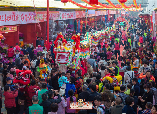 【大美广东】The Spring Festival atmosphere is strong! Zhongshan's Shagangxu Spring Festival Flower Market opens in full swing  老广贺春|年味浓郁！中山沙岗墟迎春花市热闹开市