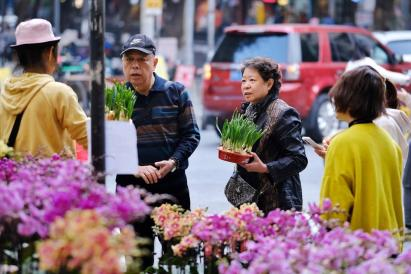 【大美广东】Lingzhi and oranges are in season, and the city is full of New Year flowers  老广贺春|灵芝橙子齐上新，满城尽是年宵花