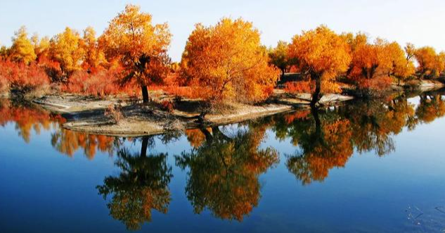 沙雅文旅：丝路明珠耀世绽放，旅游盛景惊艳登场