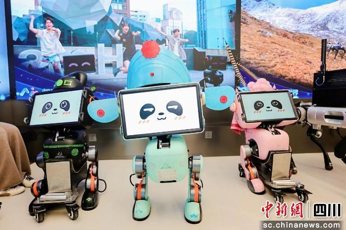 全国首个！成都锦江区具身智能机器人大卖场正式开业