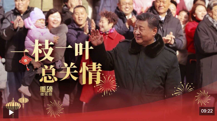 重磅微视频丨一枝一叶总关情