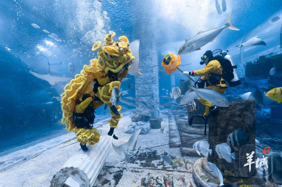 超142万人次畅游广东！超长春节假期广东文旅市场开门红“火辣辣”！