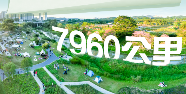 水做的广东，到底有多美？我们找到了6个答案｜学习粤报