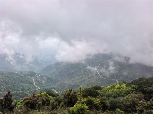 雾锁哀牢山：在云海深处，世界听见中国的心跳