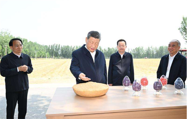 时政微观察丨“三夏”时节，总书记田间地头话农桑