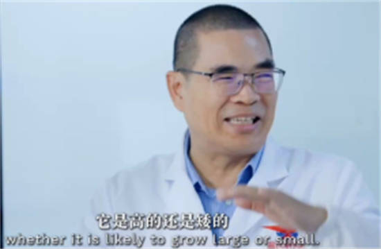 从《思想耀岭南》看县域富民产业发展
