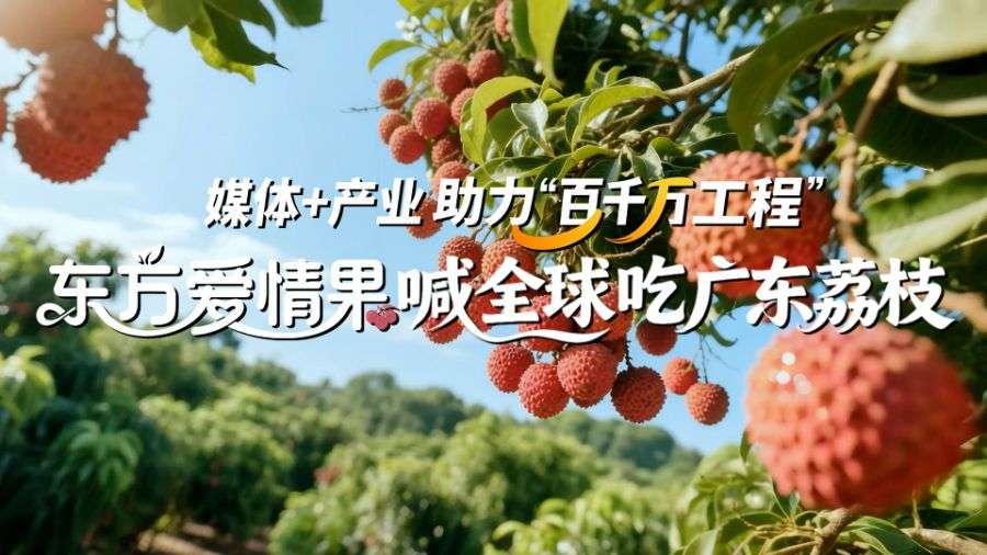 品牌故事丨“东方爱情果”广东荔枝亮相全球农遗遴选答辩会