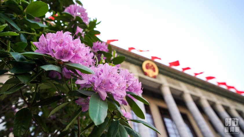 时政新闻眼丨从四个维度读懂今年以来中国元首外交