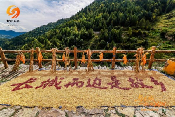 长城脚下赴开XIN之约！2026山西忻州“长城两边是故乡”文旅体验焕新季启幕