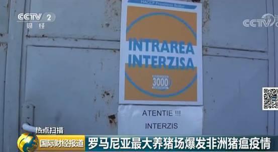 罗马尼亚最大养猪场爆发致命非洲猪瘟 或造成经济损失达10亿欧元