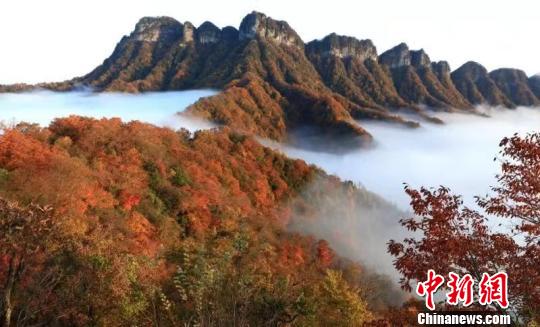 图为光雾山美景。 钟欣 摄