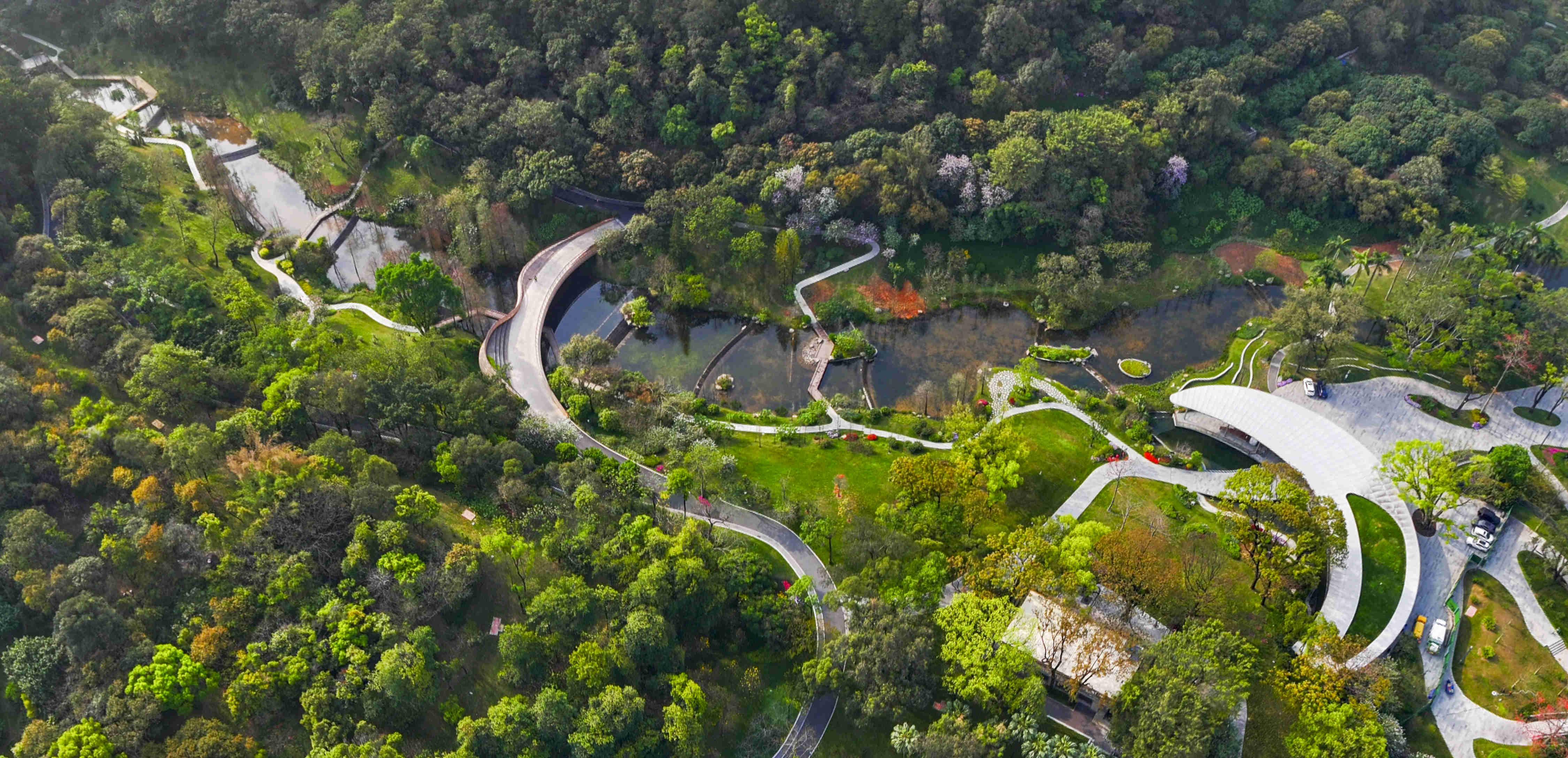 【大美广东】The urban oasis has arrived! Yunxi Botanical Garden opened in Guangzhou  城市绿洲来了！广州云溪植物园正式开园