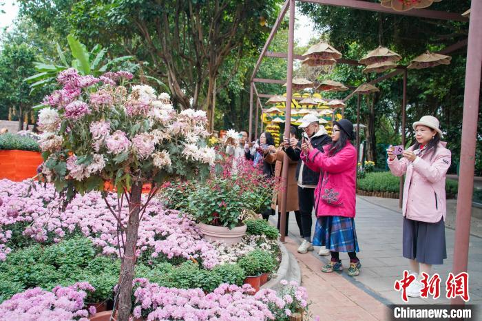 广西南宁推动文化旅游提质升级 持续扩大“朋友圈”