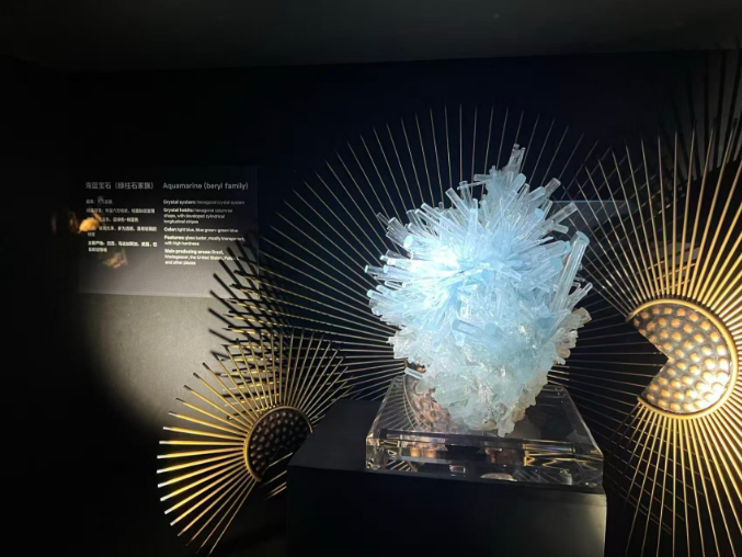 「2025世界華文媒體社長總編輯深圳行」走進深圳珠寶博物館 　感受物華天寶帶來的藝術魅力