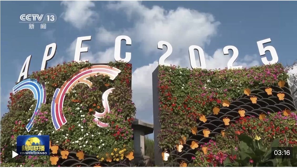 视频丨国际人士高度期待习近平主席韩国之行