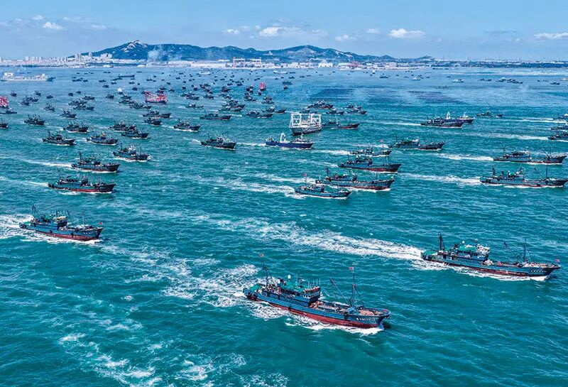 【神州大地】 山东荣成：“绿色”海洋奏响新渔歌！