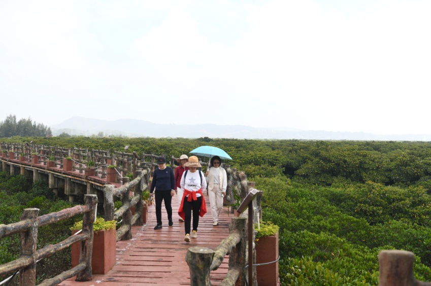 境外媒体探访广西红树林“候鸟乐土”