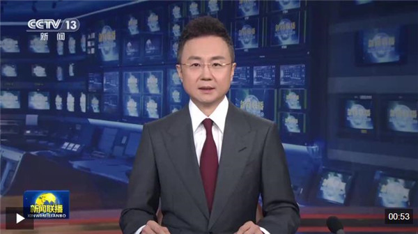 李强参加河南代表团审议