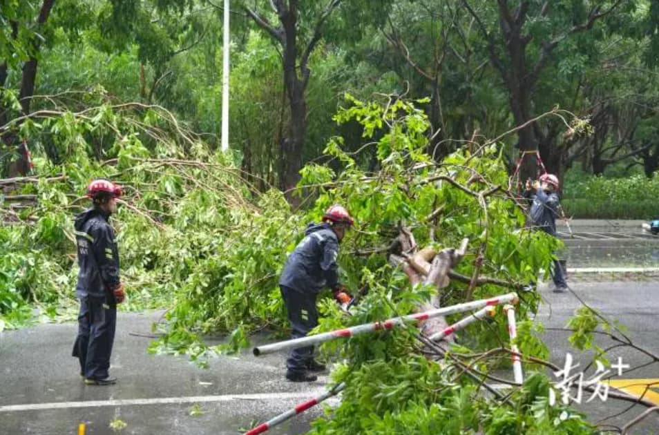 台风“红霞”强度减弱，广东累计转移近90万人