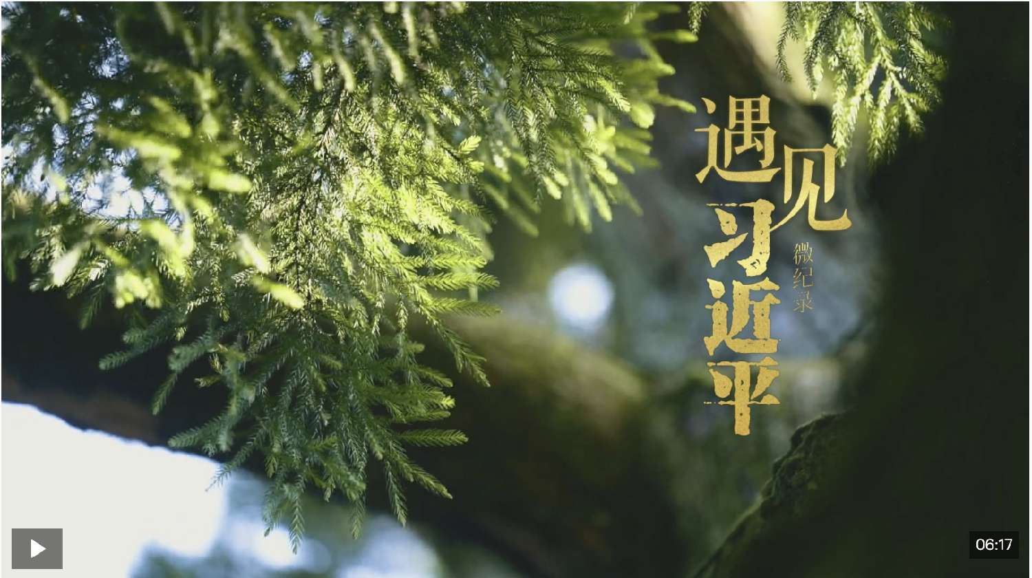 遇见习近平丨跨越山海，续写“鼓岭情缘”